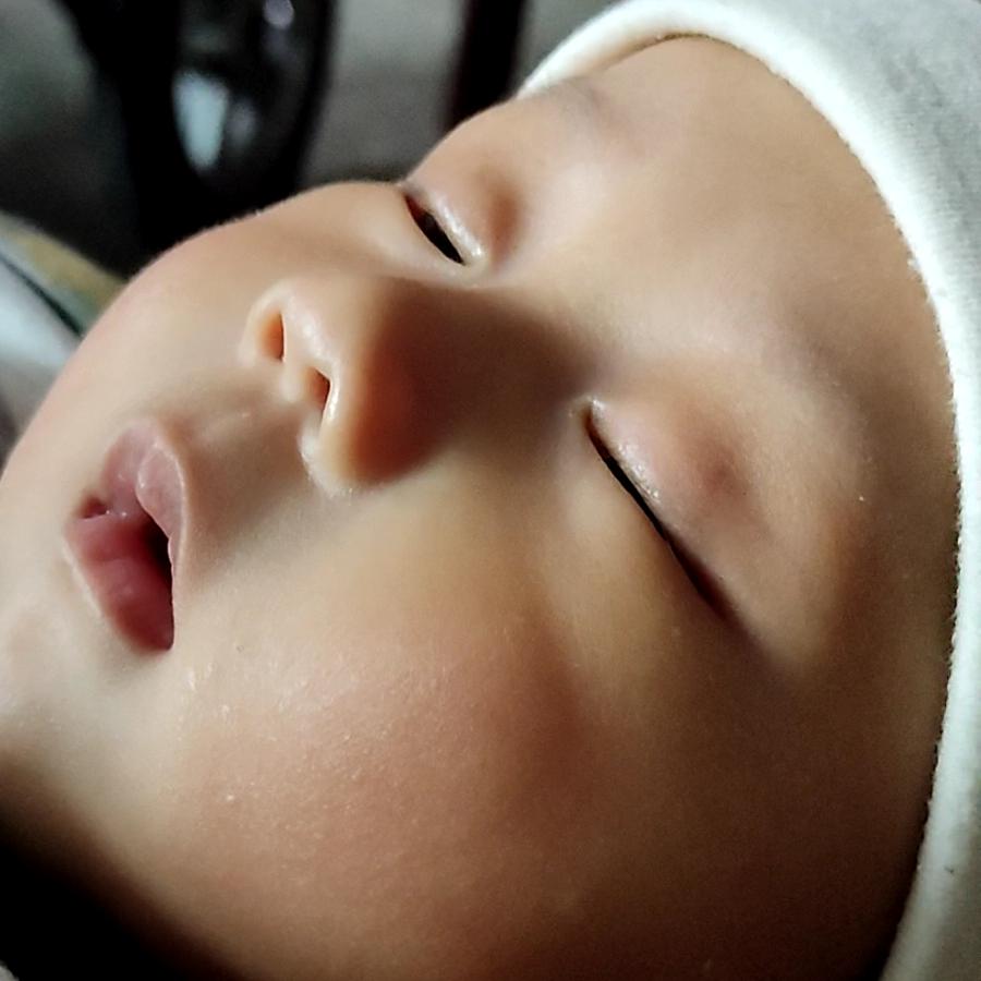 齐她的龍