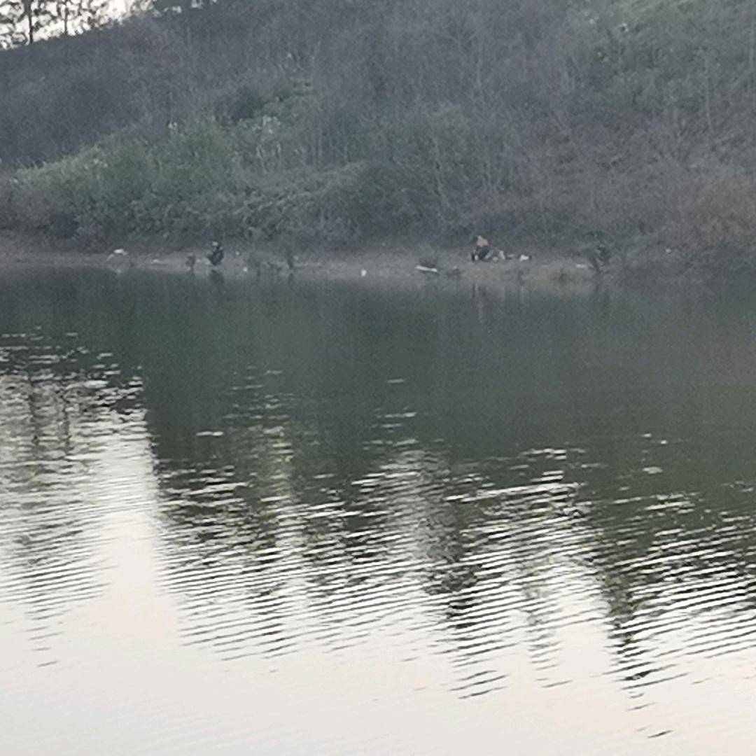 专业幕墙程国进