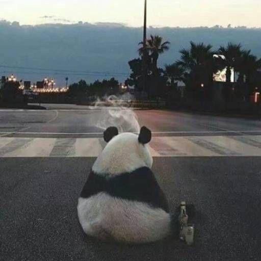 初原