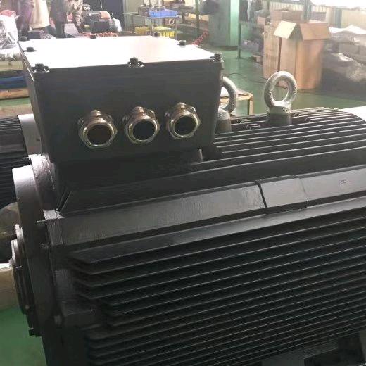 丰瑞电机81499309452