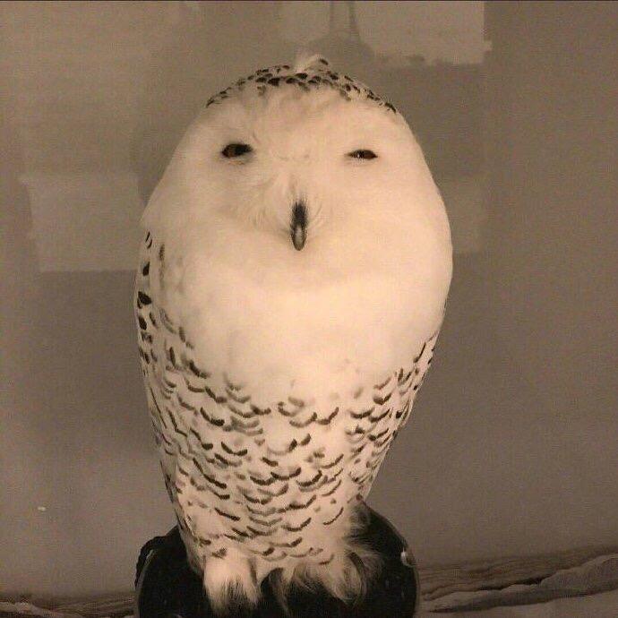 沫翌