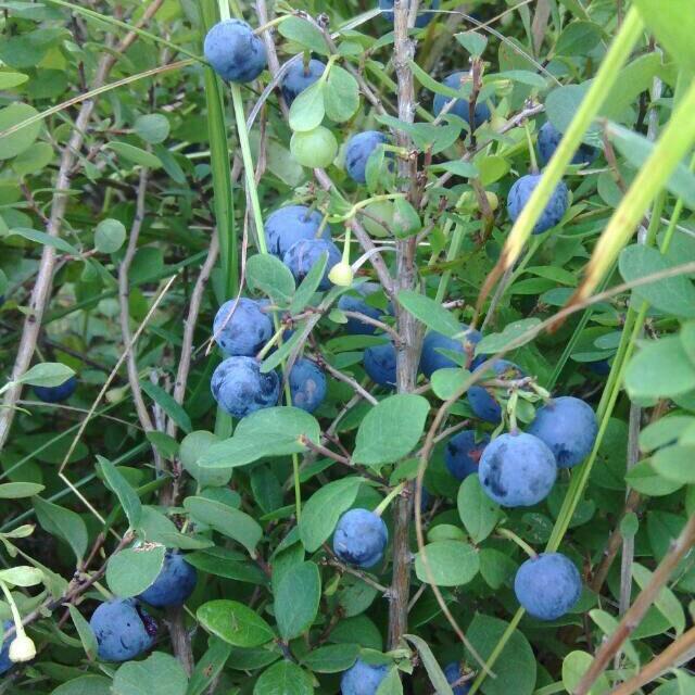 那年夏天遇见你