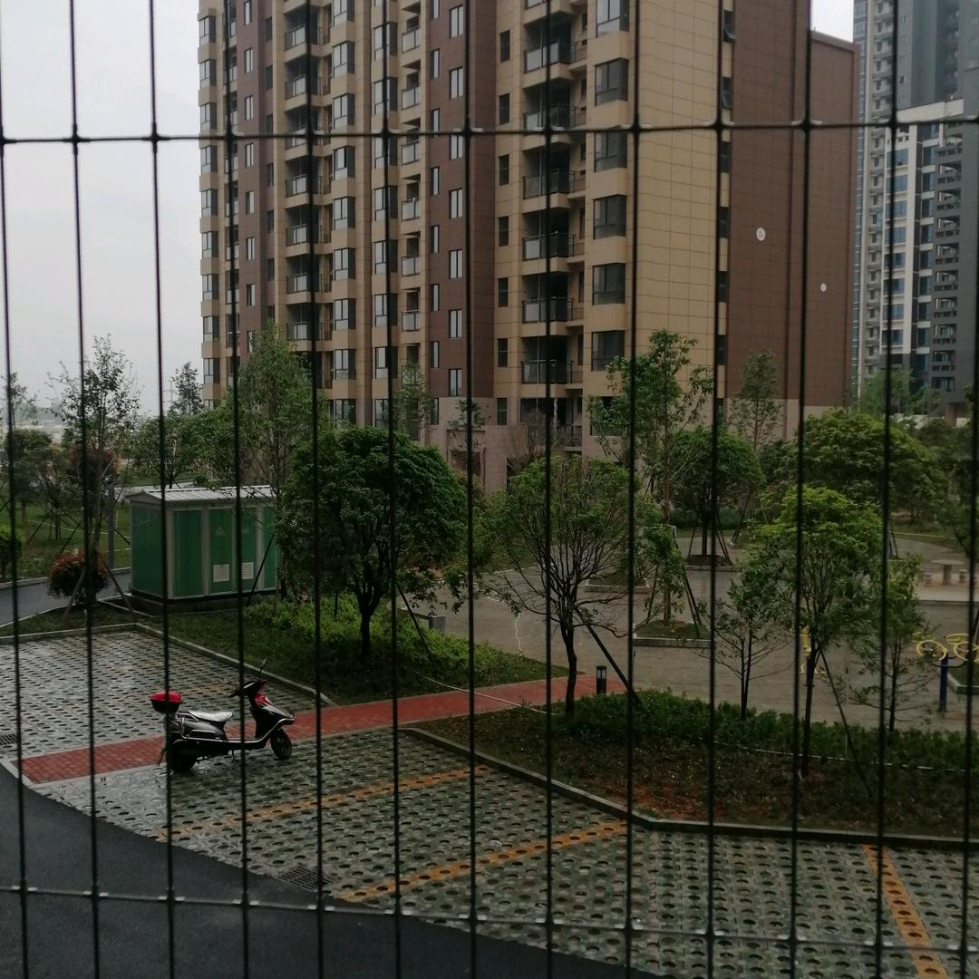 泰和隐形防护网(杨萧)