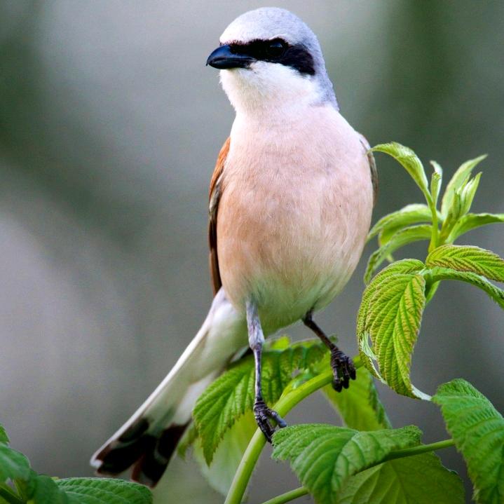 那些遗忘的青春