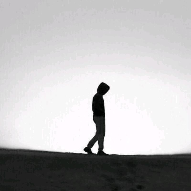 家有小宠