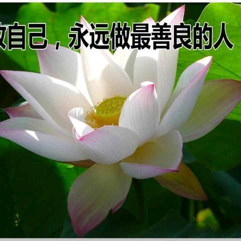 连