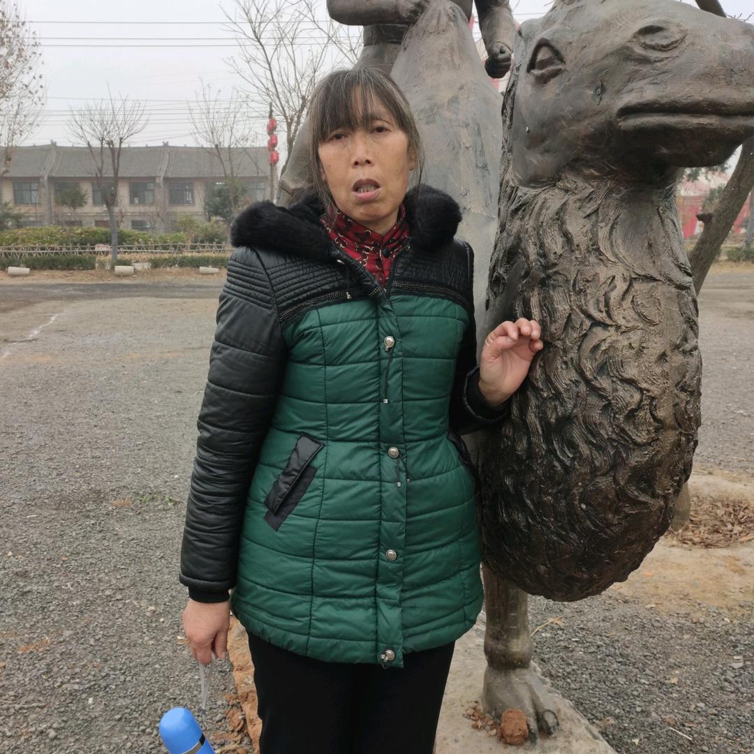 太阳花