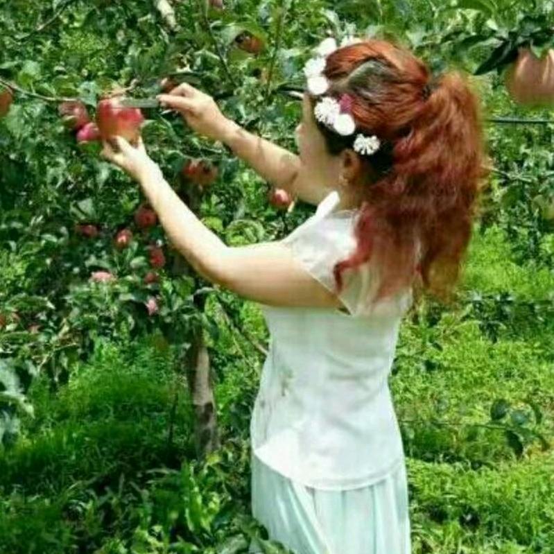灵果缘农场（寺河山苹果姐）