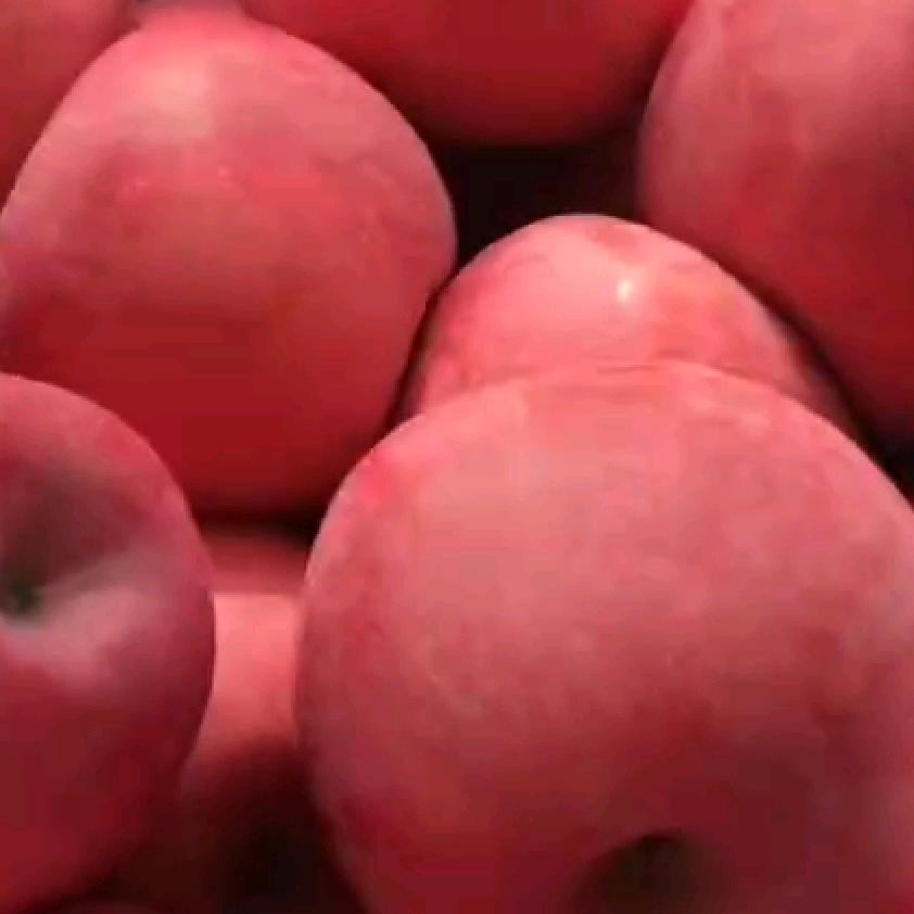 希望你一切安好