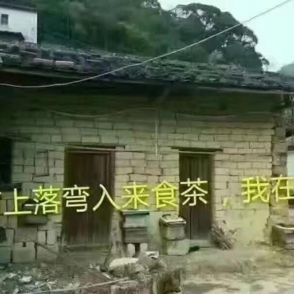 用户吴洁波