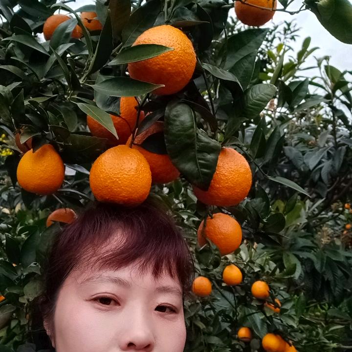 曹蓉