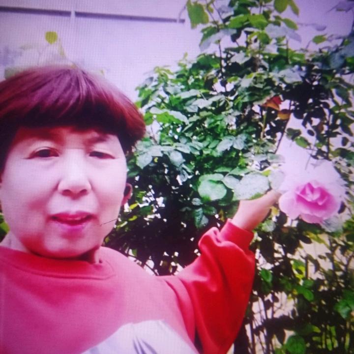 蒙福之家520