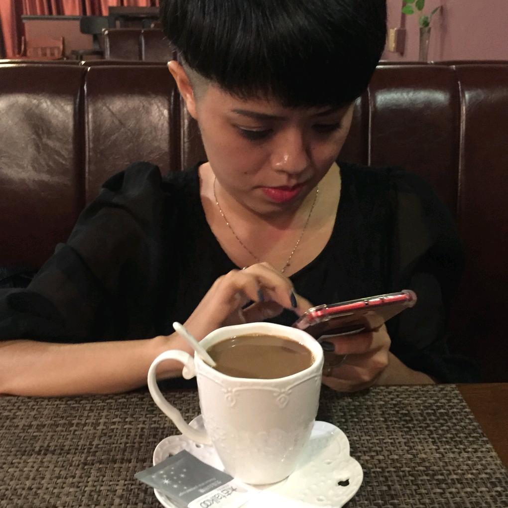 美丽的燕子