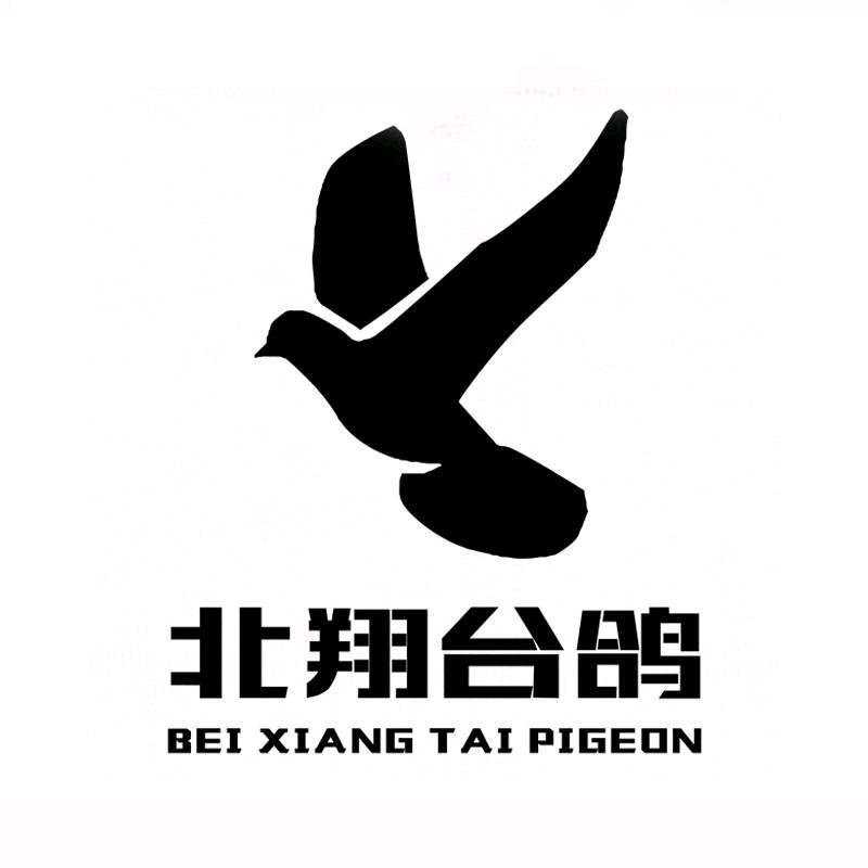 福州北翔台鸽