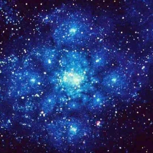 带刺的玫瑰没有刺