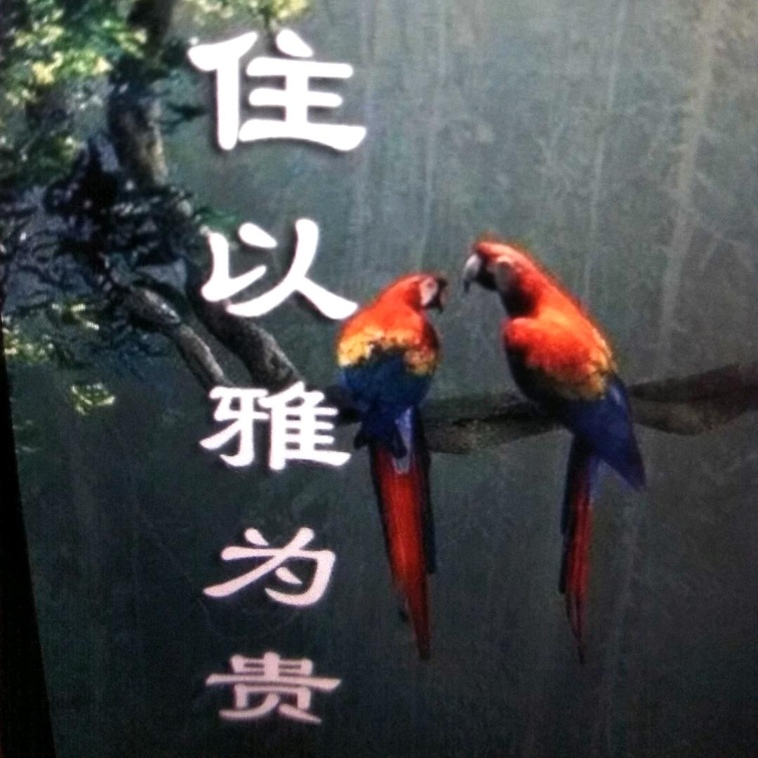 心以善为贵