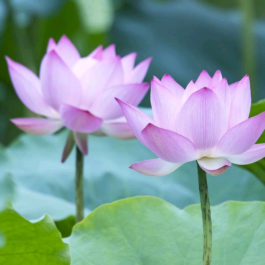 荣荣