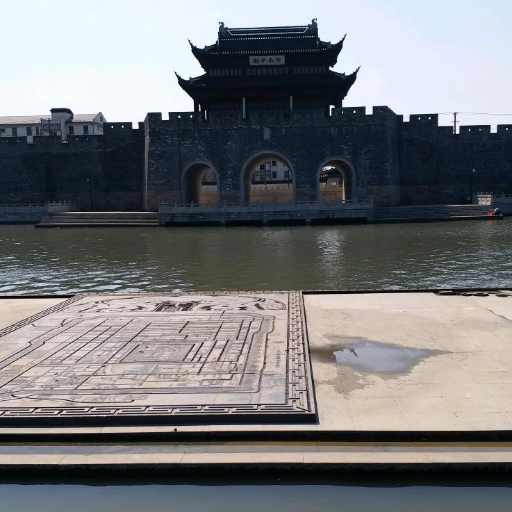 艰难快乐的蚂蚁
