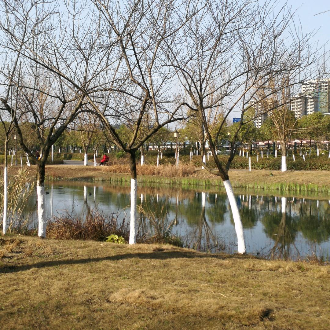 子騫