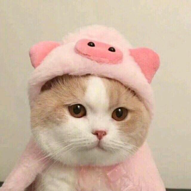 早起上班的霞霞