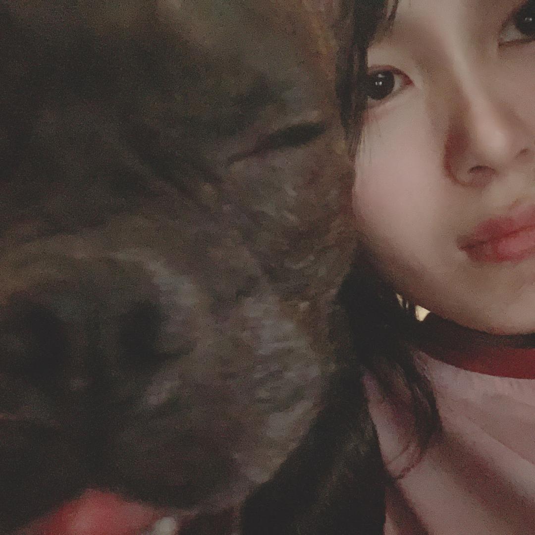 草莓味的坏熊熊
