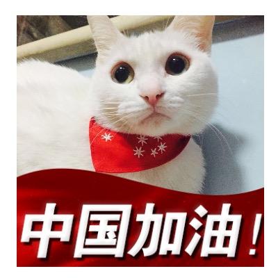 小熊🐻