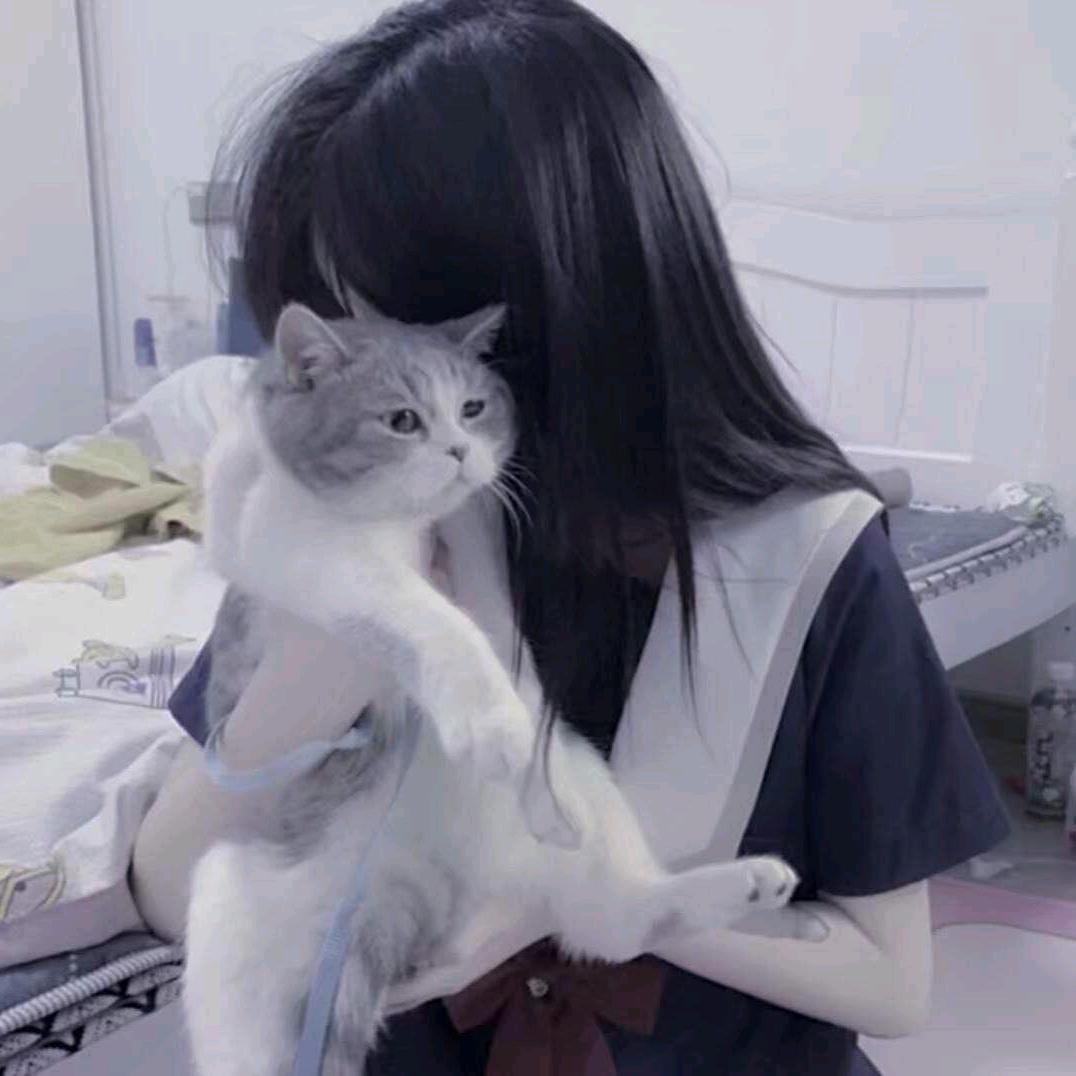 猫布丁