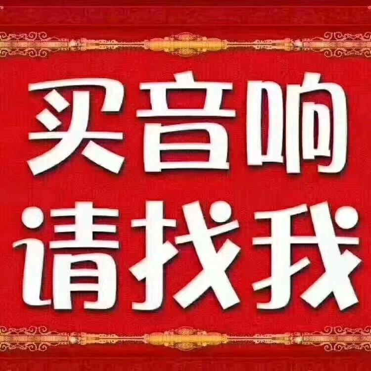 洛阳关林音响投影数码港