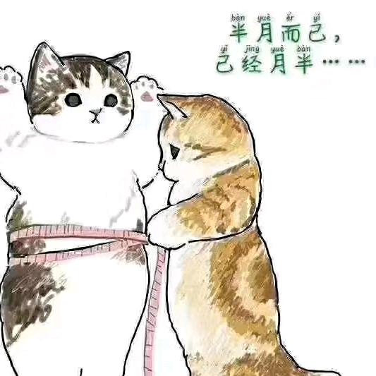 失🈚️所失