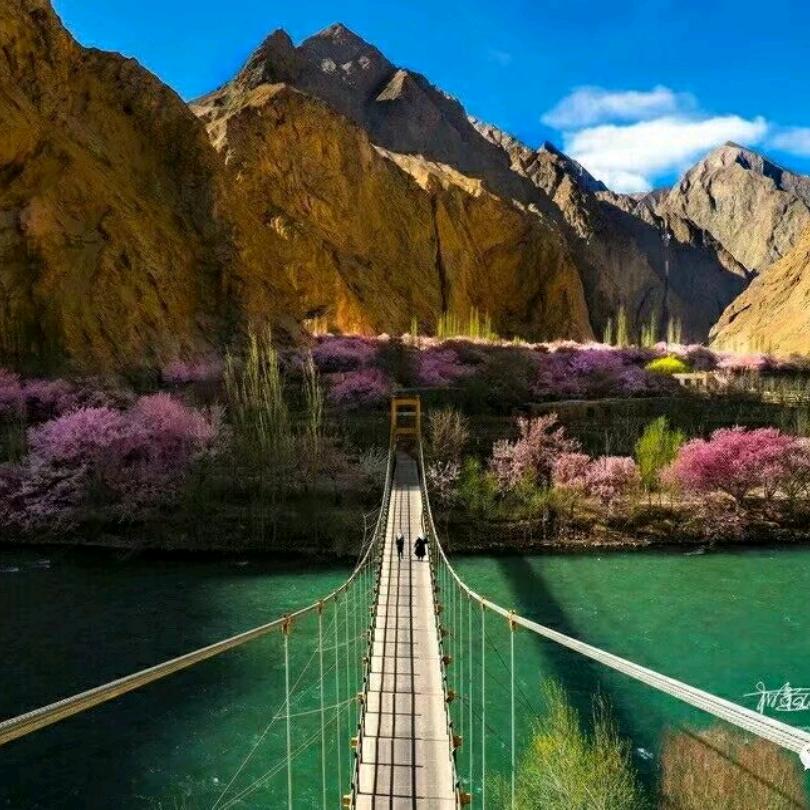 塔莎古道杏花村民宿