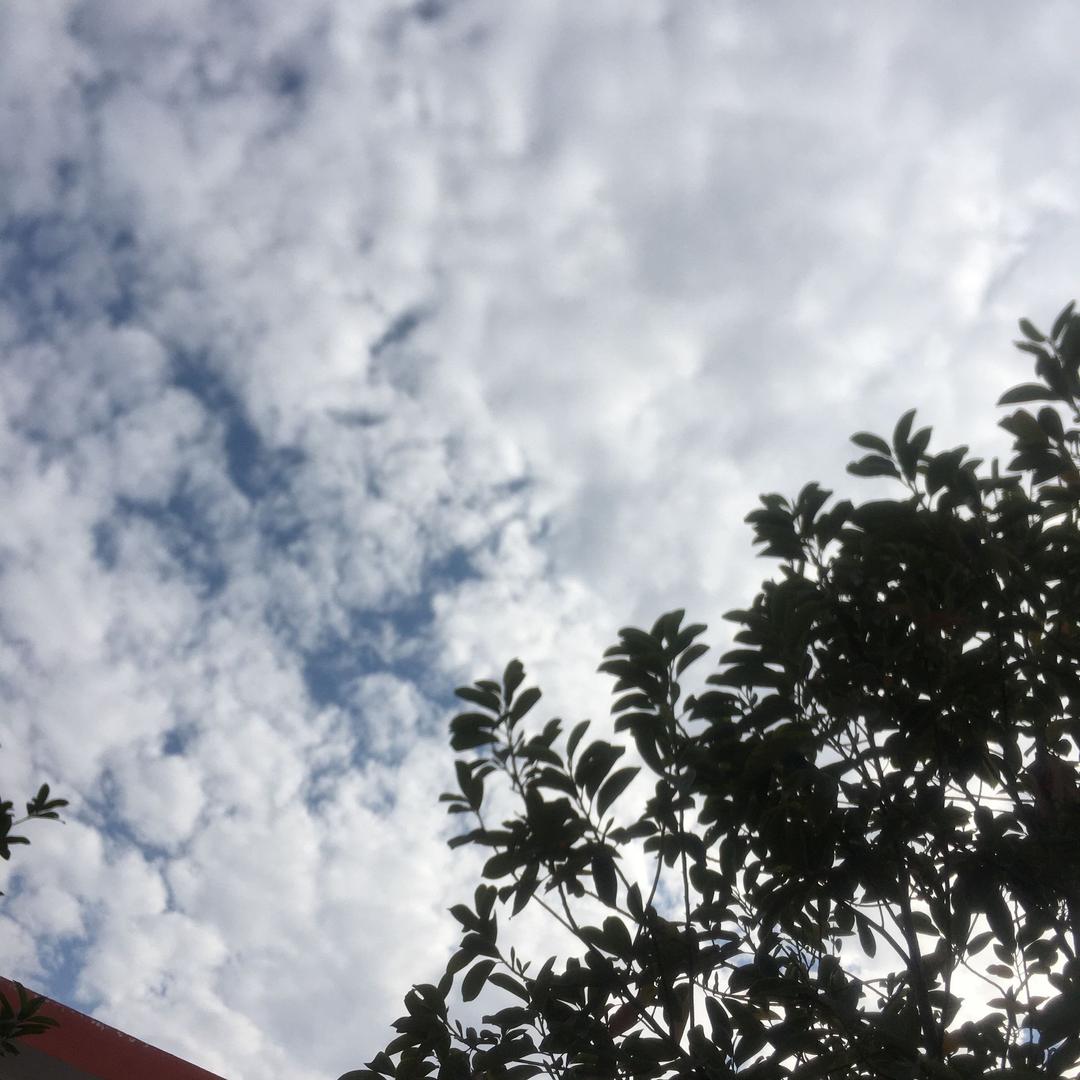 梦醉为红颜