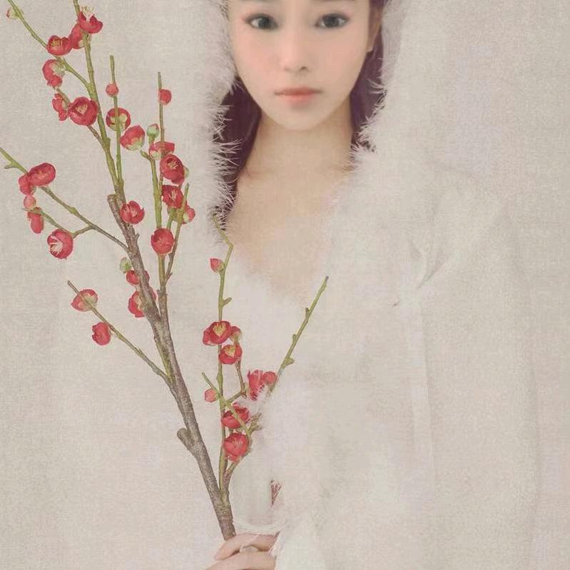 娟姐霸气