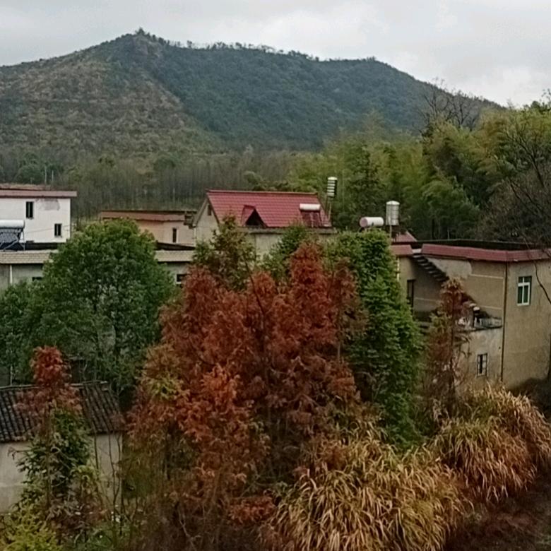 快乐的心情