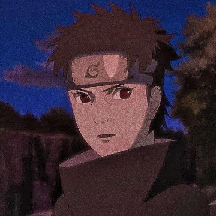 你的龟龟上线了呀