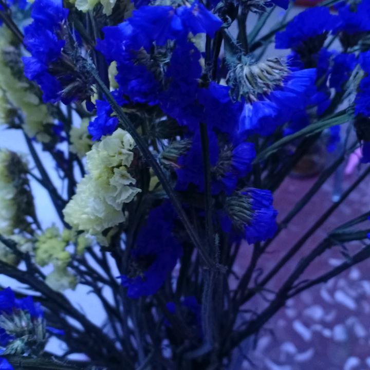 吃得苦中苦