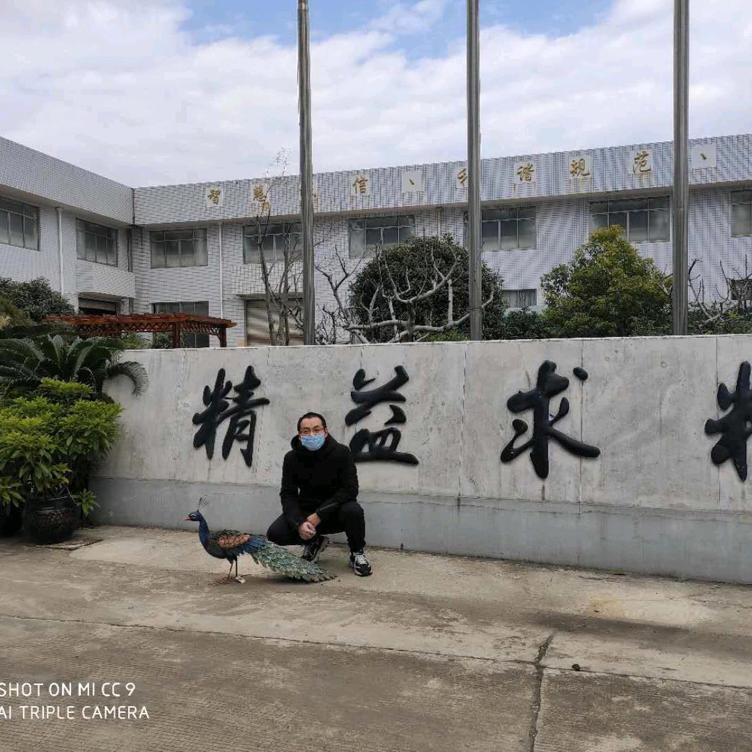 温州瑞达枕式包装机