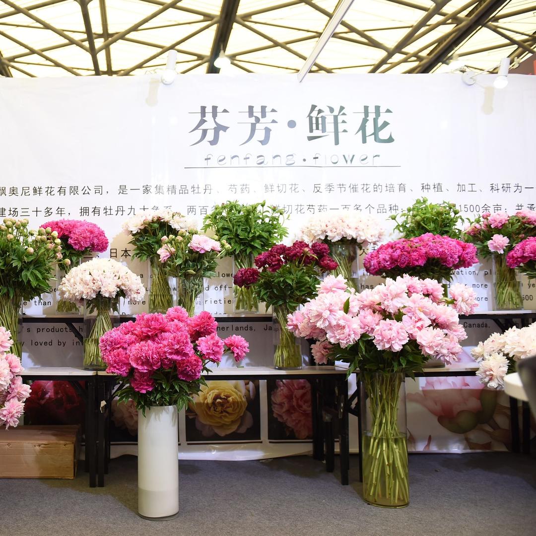 芬芳牡丹芍药园