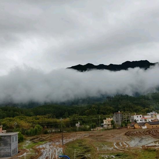 孩童叫俺卡门