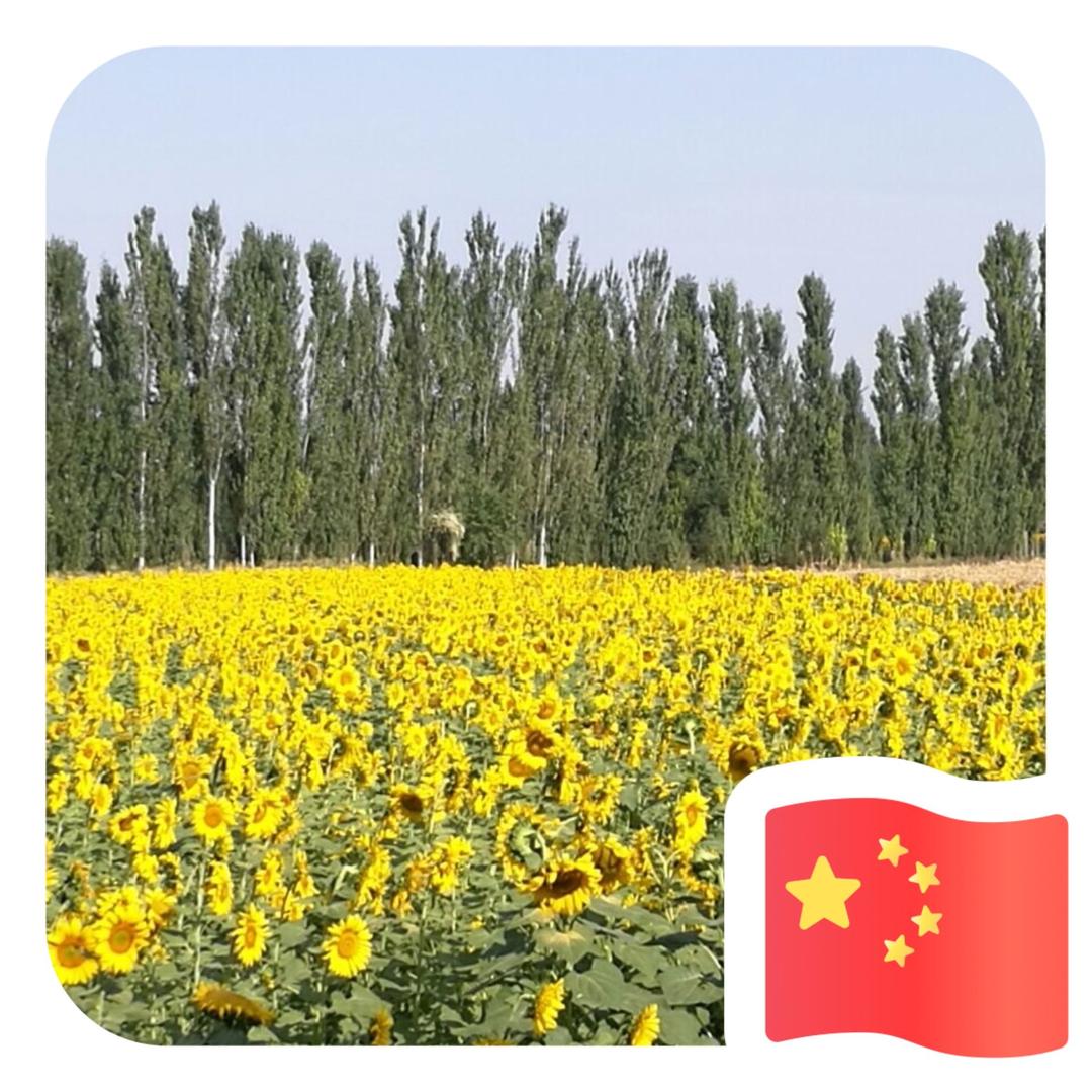 用户2938978382845