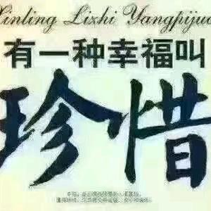 飞