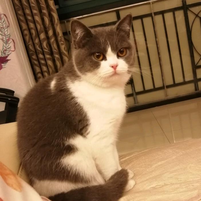 幸福的人