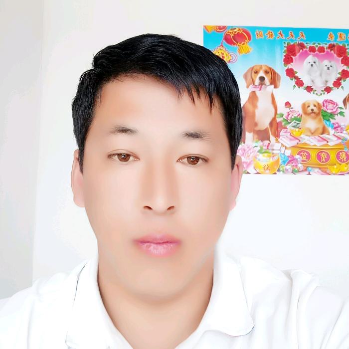 真情永不变