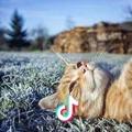 sweety