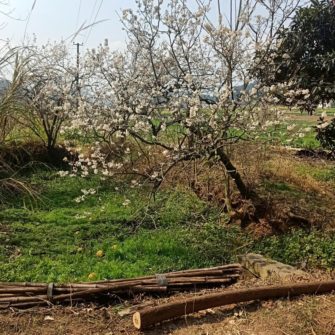 用户6965371267868郭福周