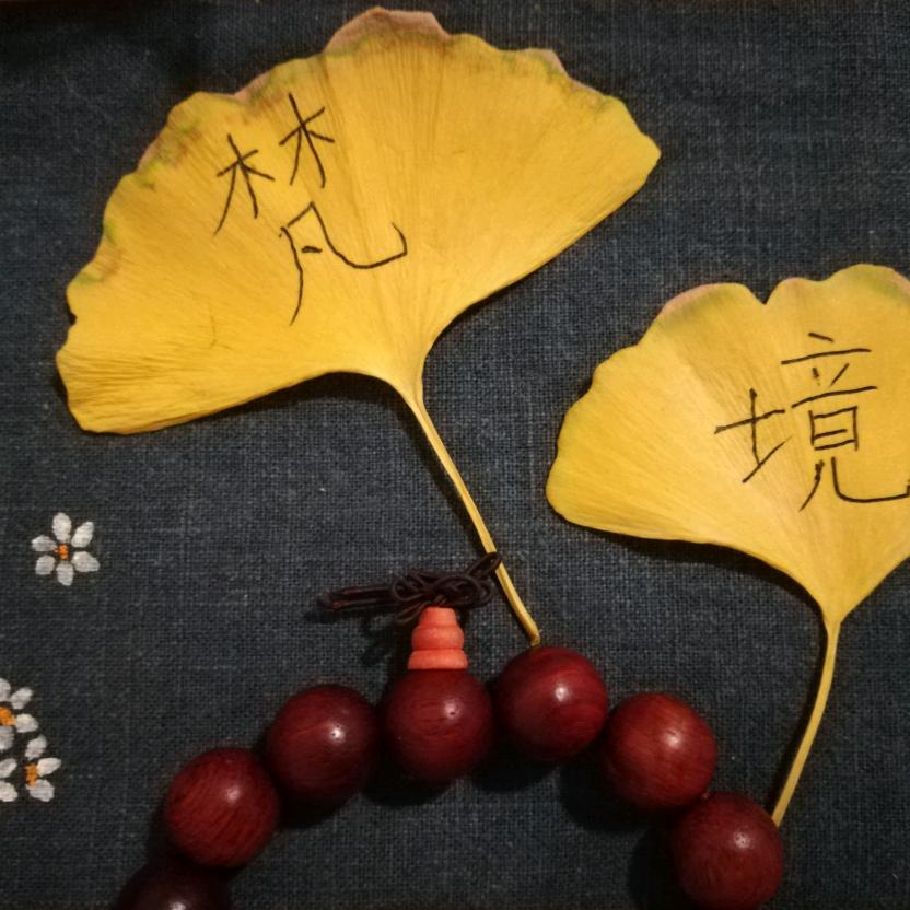 @素心