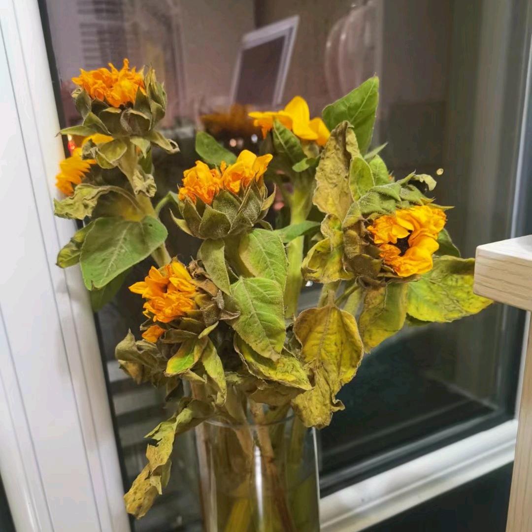 那个花老板啊🤔