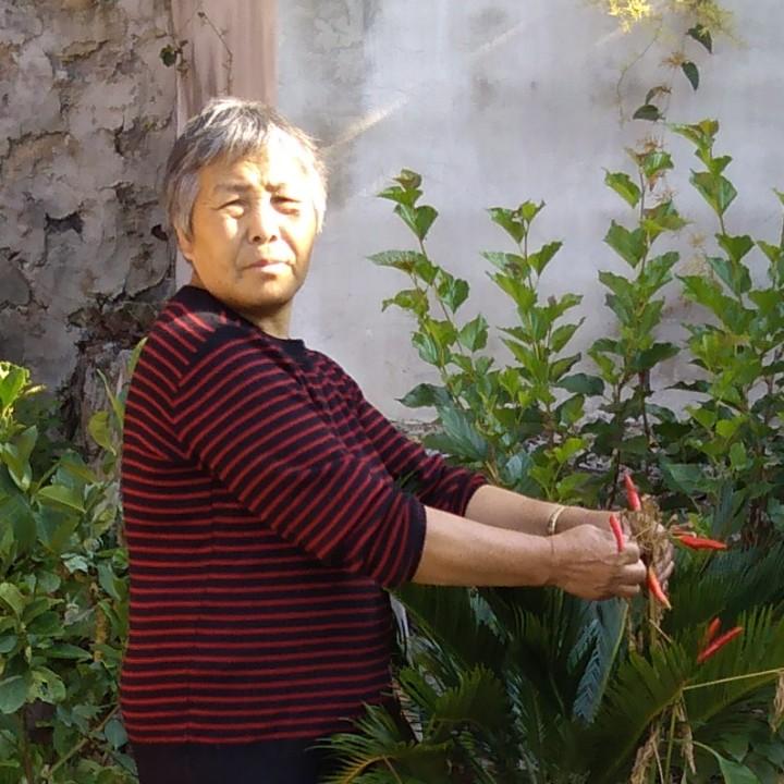 要成为幸福的奶奶