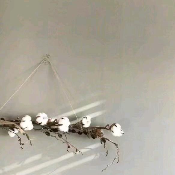 眼拥⭐霜