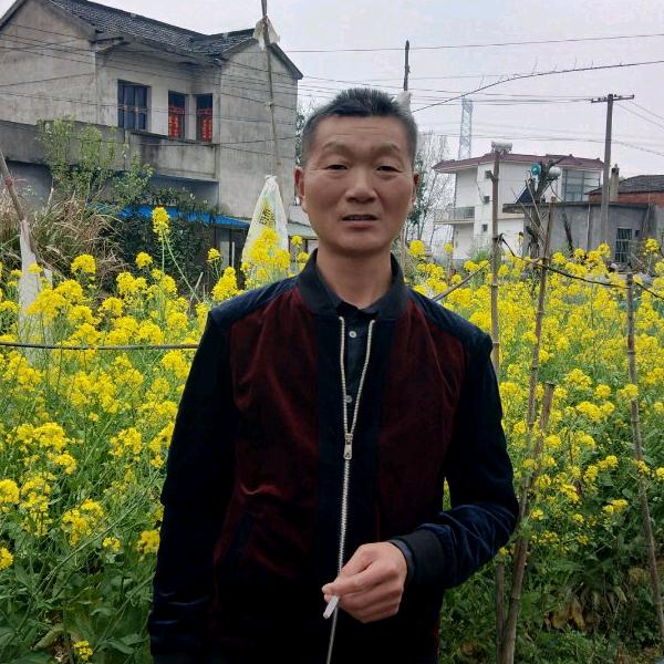阳光普照