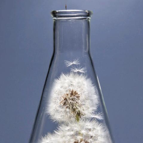 没有如果只有结果